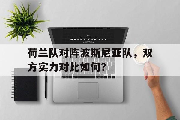 荷兰队对阵波斯尼亚队，双方实力对比如何？的简单介绍